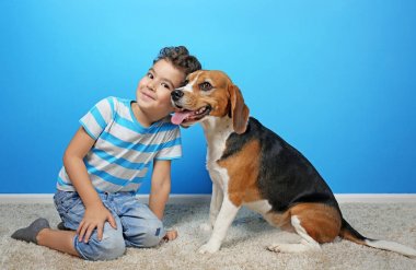 Köpek renk duvarının yakınında sevimli çocukla