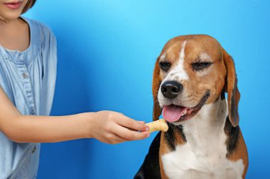 Sevimli kız beslenme köpek 