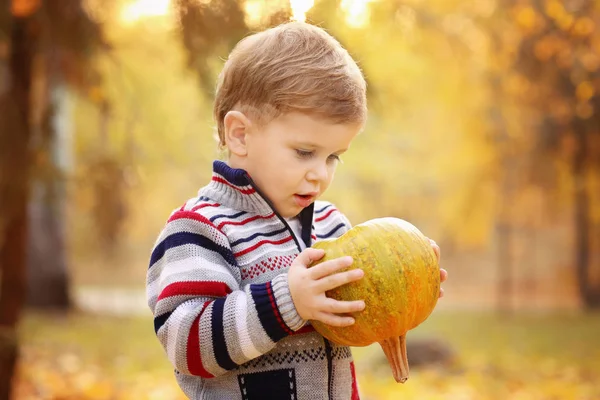 Anak kecil yang lucu dengan labu di taman musim gugur — Stok Foto