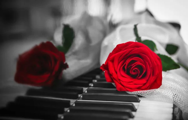 Rose en stof op piano toetsen — Stockfoto