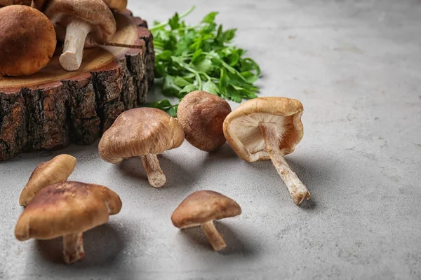 Сирі гриби шиітаке на столі — стокове фото