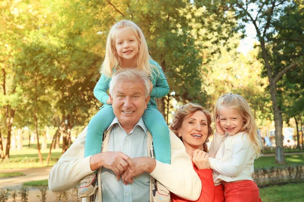 Пожилая пара с внучками в парке — стоковое фото