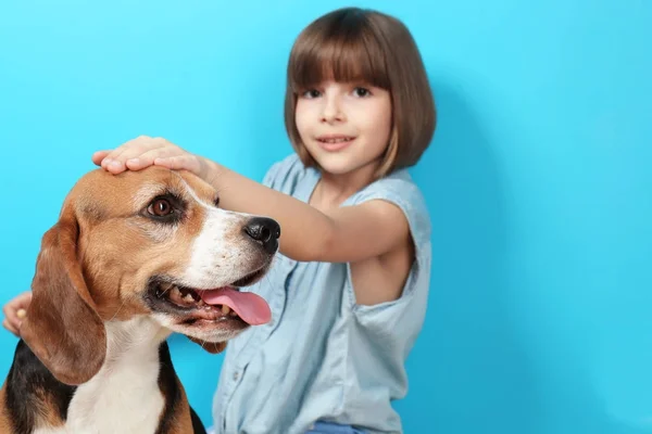 Мила дівчина з собакою — стокове фото