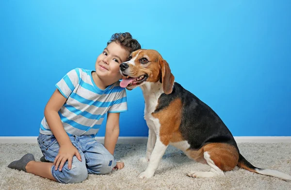 Köpek renk duvarının yakınında sevimli çocukla