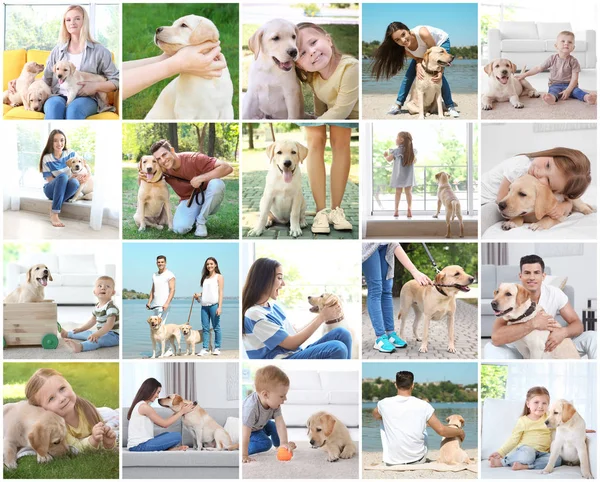 Collage met mensen en cute Labrador Retriever Honden — Stockfoto