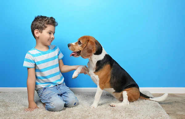 Garçon mignon avec chien près du mur de couleur — Photo