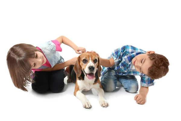 Beyaz arka plan üzerinde köpek sevimli çocukla — Stok fotoğraf