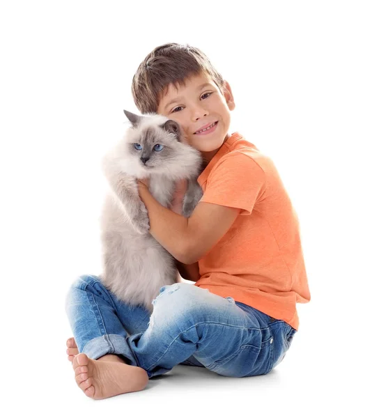 Liten pojke med fluffiga katten — Stockfoto
