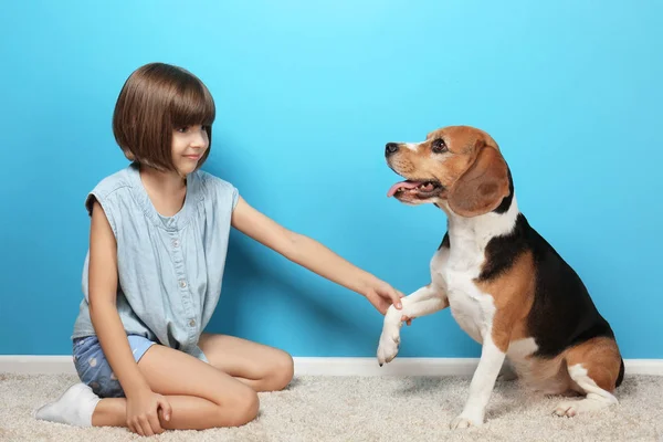 Jolie fille avec chien — Photo