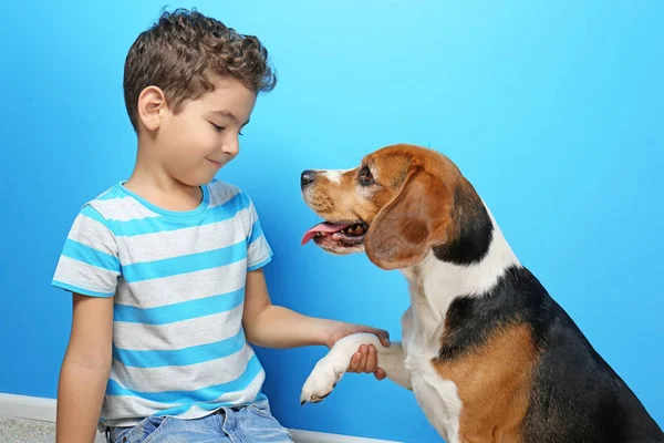 Schattige jongen met hond op kleur achtergrond — Stockfoto