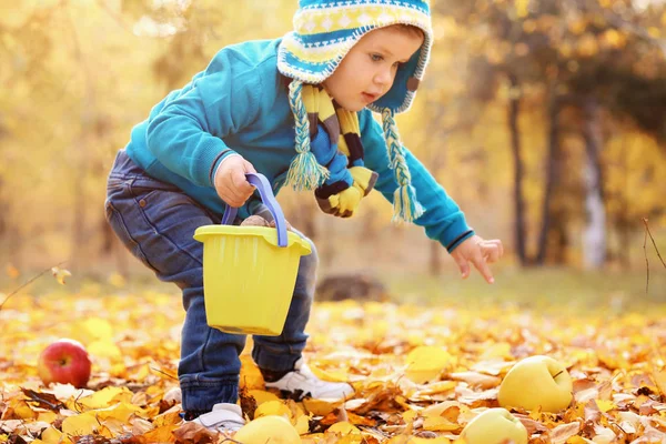 सुंदर छोटा बच्चा शरद ऋतु पार्क में खेल रहा है — स्टॉक फ़ोटो, इमेज