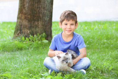 kabarık kedi ile küçük çocuk 