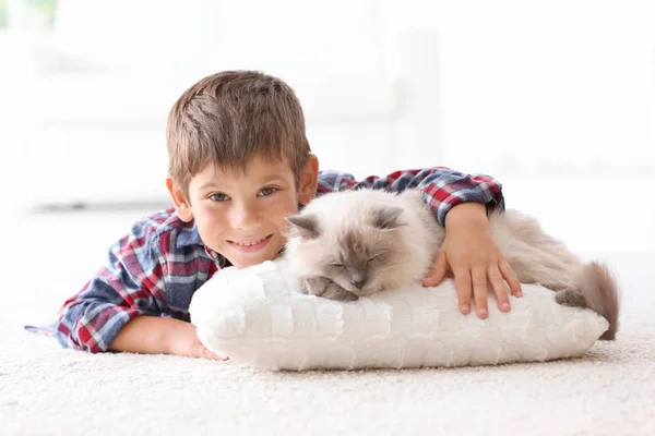 솜 털 고양이와 어린 소년 — 스톡 사진