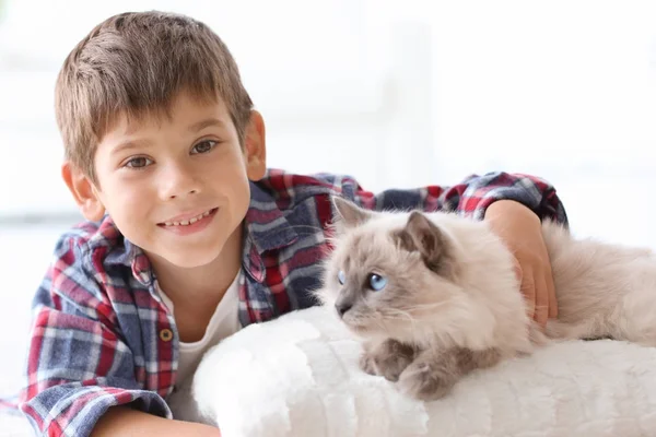 Petit garçon avec chat moelleux — Photo