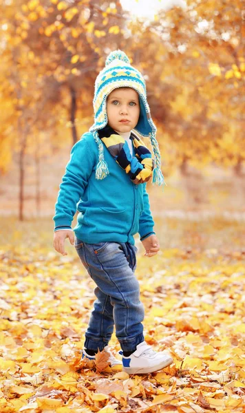 Słodkie małe dziecko w jesienny park — Zdjęcie stockowe