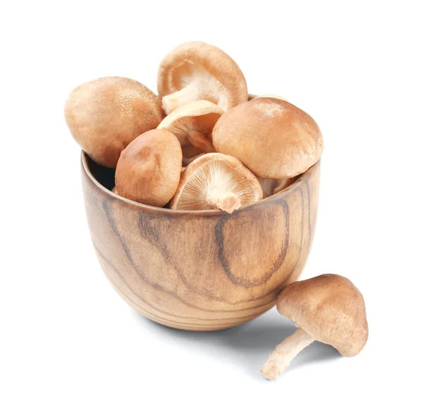 Rohe Shiitake-Pilze in Schüssel — Stockfoto