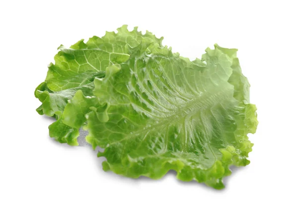 Листя салату на фоні — стокове фото