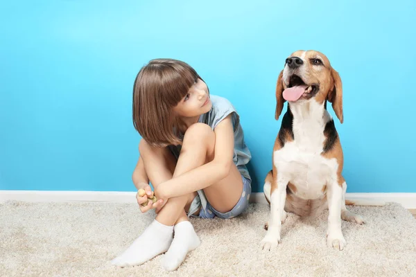 Söt flicka med hund — Stockfoto