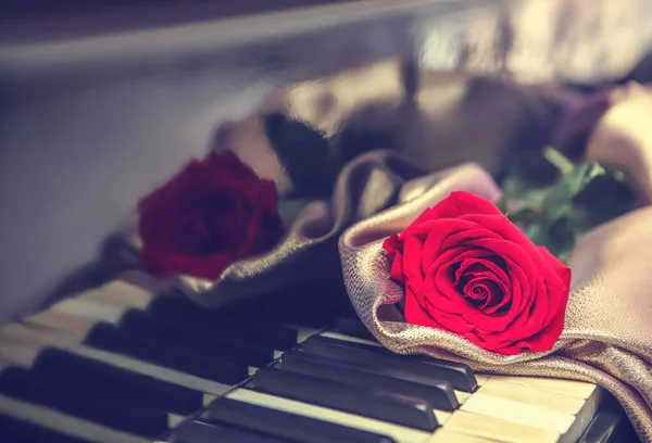 Rose en stof op piano toetsen — Stockfoto