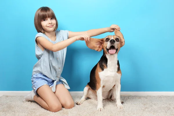 Köpekle oynayan tatlı kız. — Stok fotoğraf