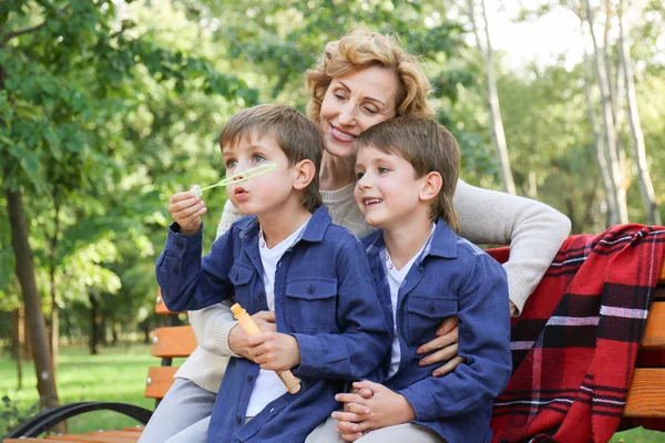 Cute little boys with grandmother in park on sunny day — Stock Photo, Image