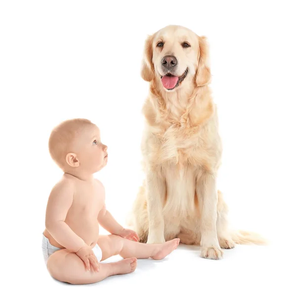 Bebé con lindo perro sobre fondo blanco — Foto de Stock