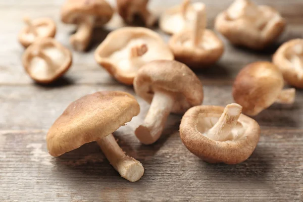 Syrové shiitake houby — Stock fotografie