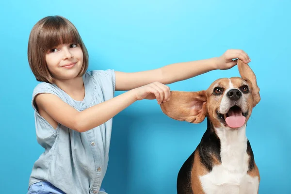 Köpekle oynayan tatlı kız. — Stok fotoğraf