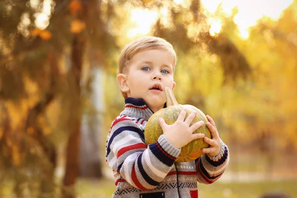 Anak kecil yang lucu dengan labu di taman musim gugur — Stok Foto