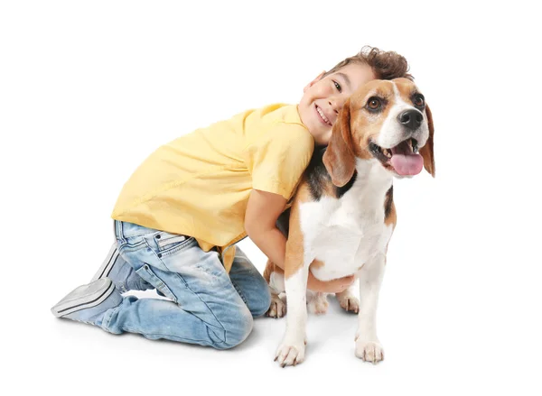 Schattige kleine jongen met hond op witte achtergrond — Stockfoto