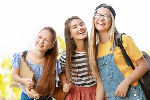 Bonito adolescente meninas reunião ao ar livre — Fotografia de Stock