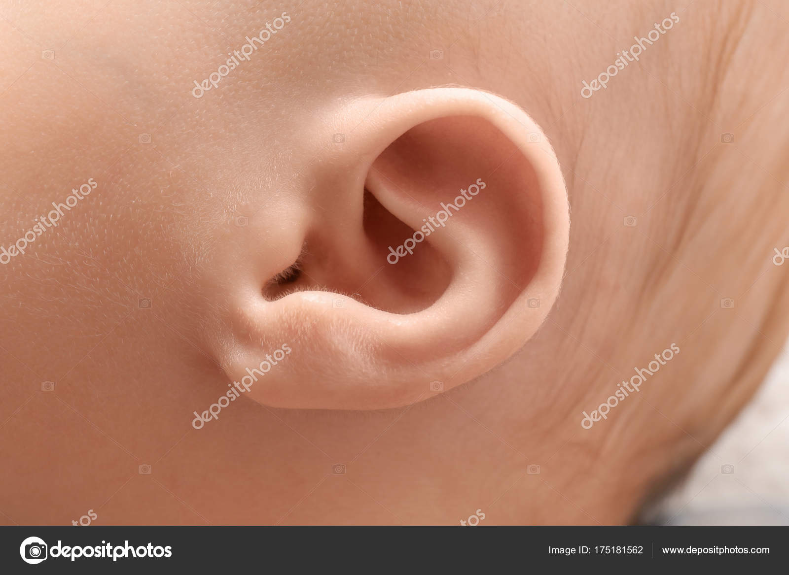 Baby ear, closeup Stock Photo by ©belchonock 175181562