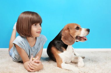 Sevimli kız ile halı üzerinde yalan köpek 