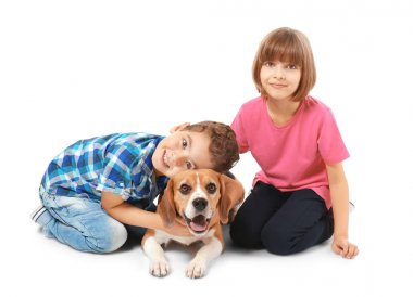 Beyaz arka plan üzerinde köpek sevimli çocukla