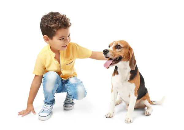 Милий маленький хлопчик з собакою на білому тлі — стокове фото