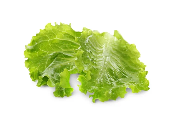 Lettuce leaves on  background — Stock Photo, Image