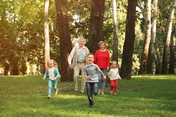 Mijn lieve kinderen, spelen in de buurt van grootouders in park — Stockfoto