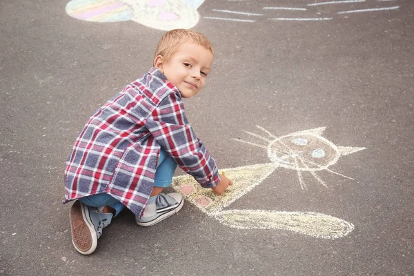 Liten pojke ritning katt med krita på asfalt — Stockfoto