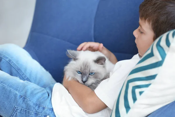 Petit garçon avec chat moelleux — Photo