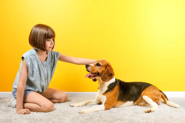 Jolie fille avec chien — Photo