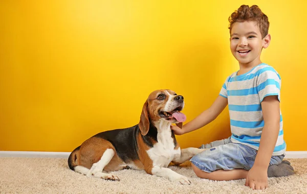 Garçon mignon avec chien près du mur de couleur — Photo