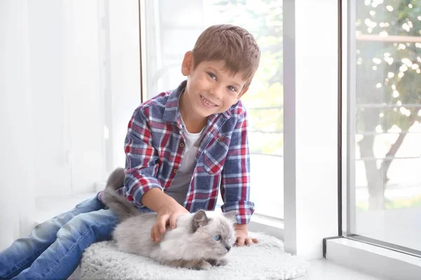 Маленький мальчик с пушистым котом — стоковое фото