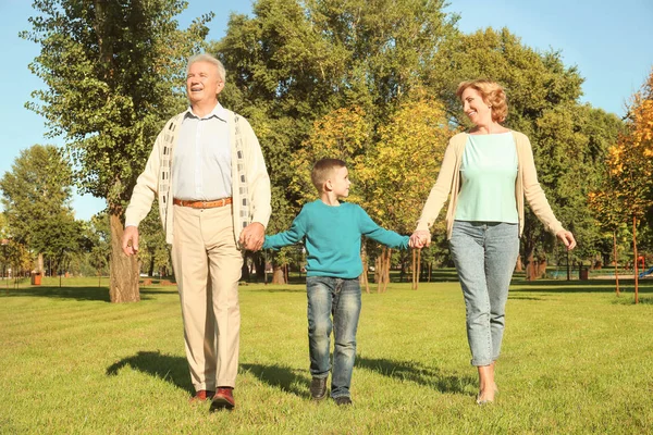 Bejaarde echtpaar met kleinzoon in park — Stockfoto