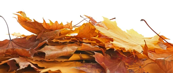 Haufen schöner Herbstblätter — Stockfoto