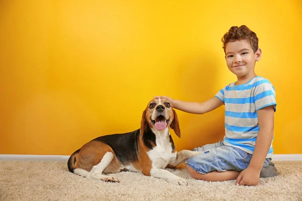 Garçon mignon avec chien près du mur de couleur — Photo