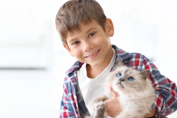 Little boy with fluffy cat — Stock Photo, Image