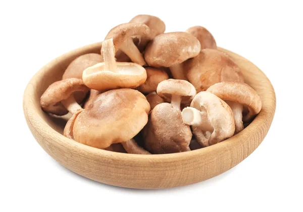 Rohe Shiitake-Pilze in Schüssel — Stockfoto