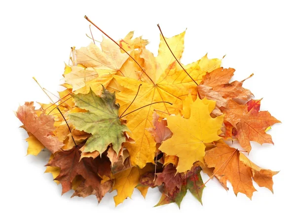 Heap of beautiful autumn leaves — Stock Photo, Image