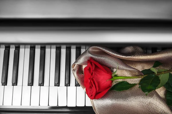 Rosa y tela sobre teclas de piano — Foto de Stock