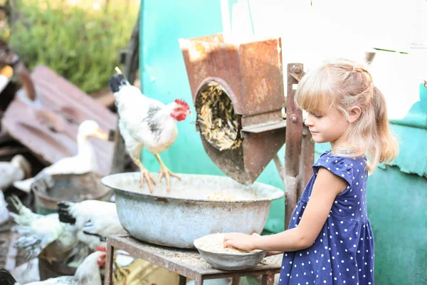 Little girl feeding chickens — Stock Photo, Image